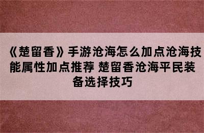 《楚留香》手游沧海怎么加点沧海技能属性加点推荐 楚留香沧海平民装备选择技巧